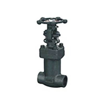 100 Series Pneumatic Angle Seat Valve-856